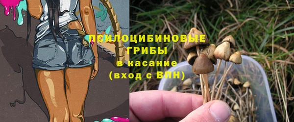 соль ск Тавда