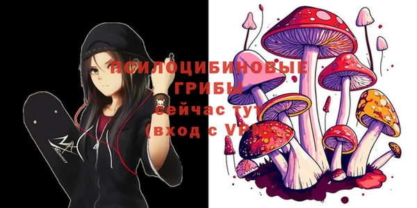 дмт Беломорск