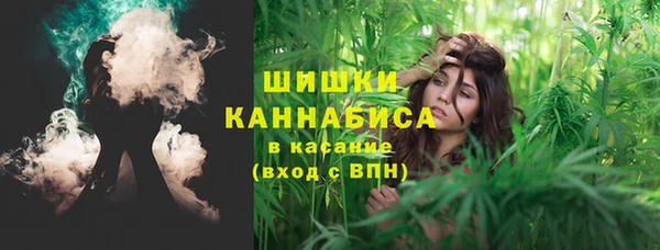 a pvp Белокуриха