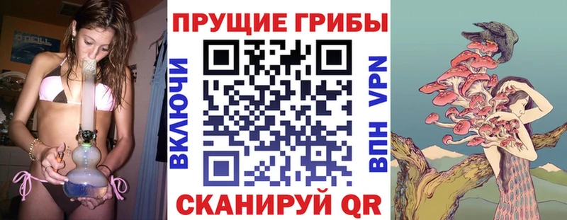 Галлюциногенные грибы мухоморы  Вязники 